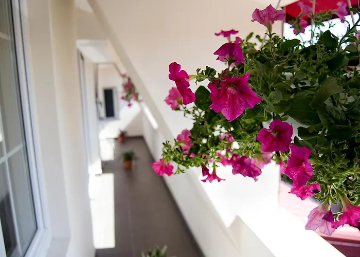 Hotel Tranzzit
